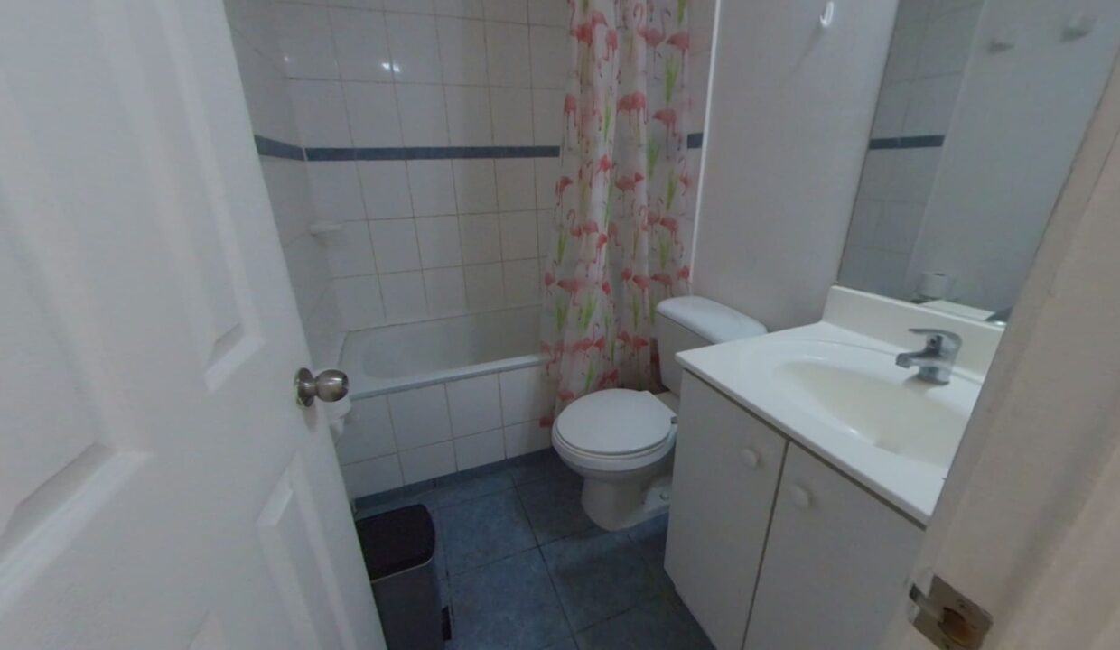 VID_20250915_122541_00_004_2025-09-22_12-50-34_capturadepantalla