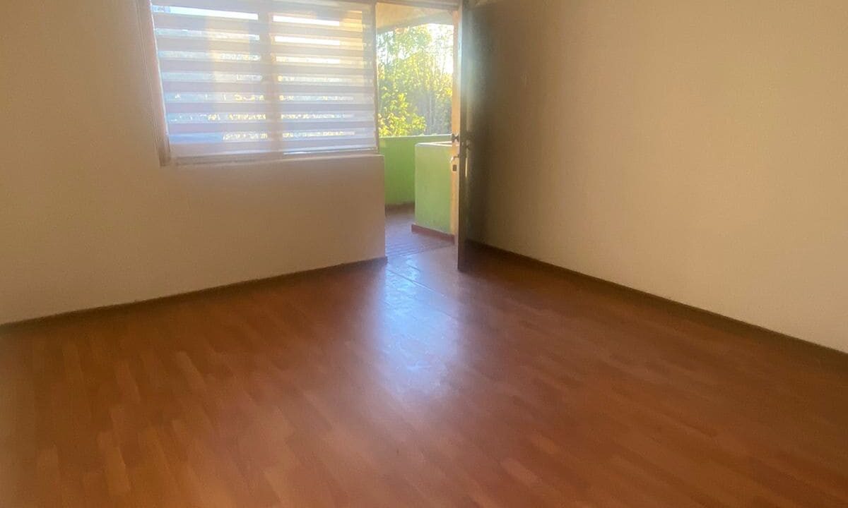 WhatsApp Image 2026-03-19 at 19.20.29 (1)