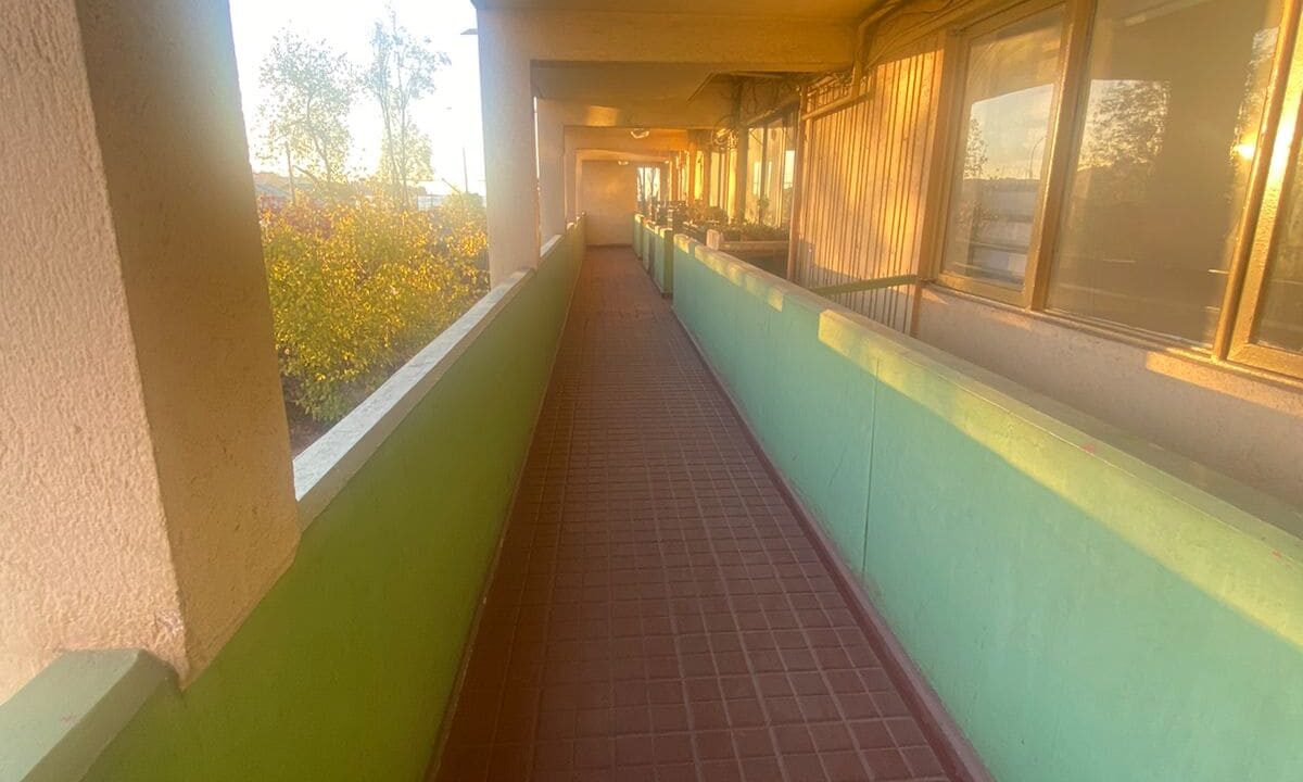 WhatsApp Image 2026-03-19 at 19.20.29