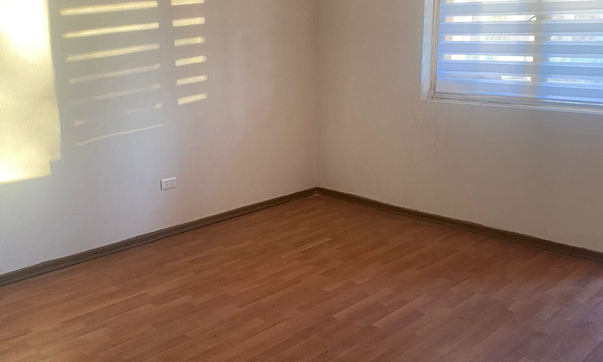 WhatsApp Image 2026-03-19 at 19.20.30