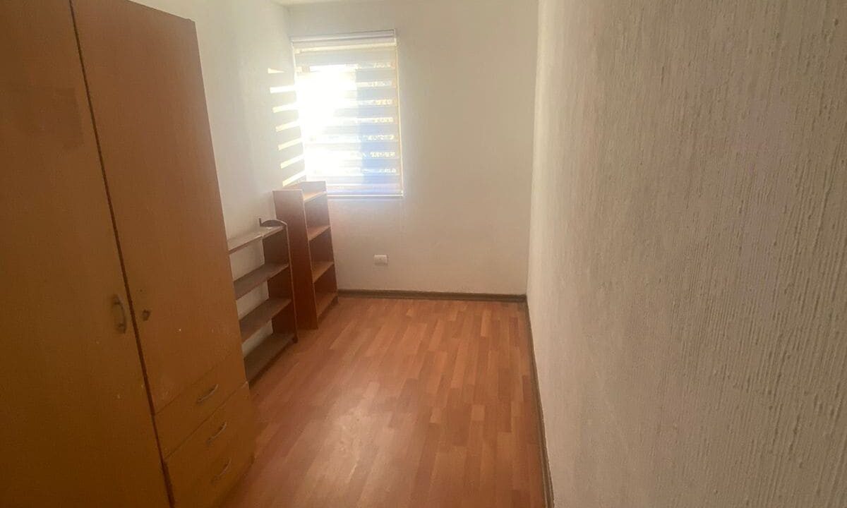 WhatsApp Image 2026-03-19 at 19.20.31