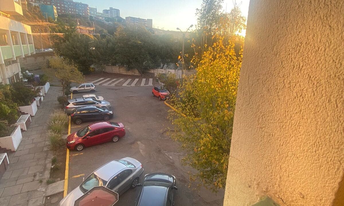 WhatsApp Image 2026-03-19 at 20.49.15